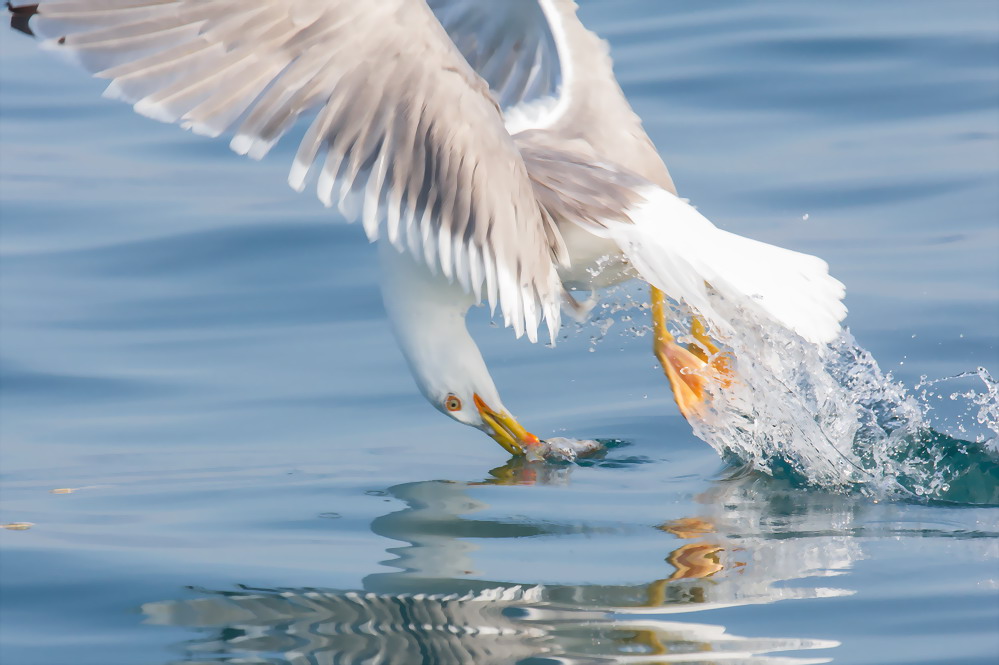 Soggetti in movimento sul mare..